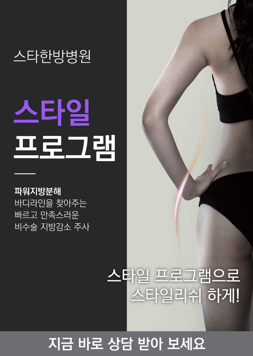 스타일 프로그램