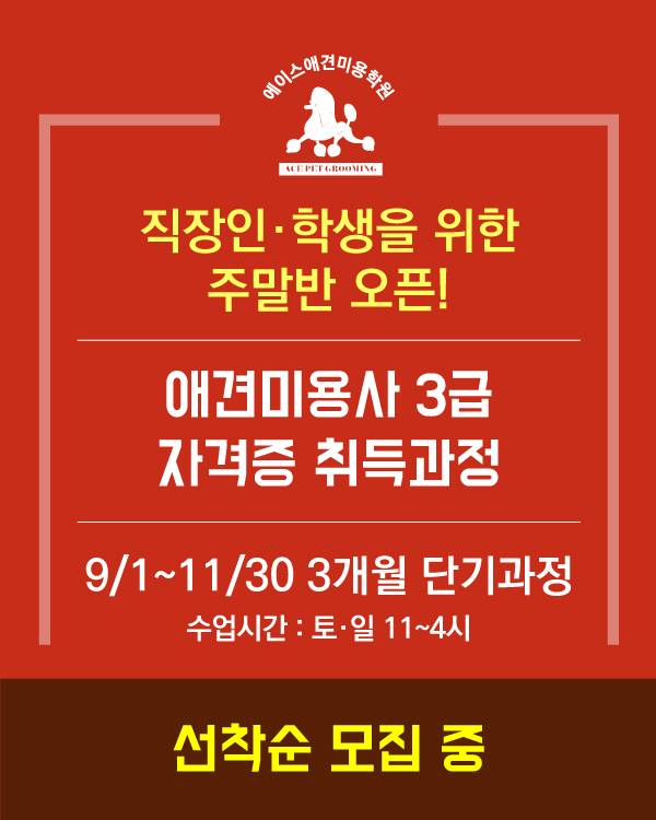 주말반 3개월 단기 취득과정