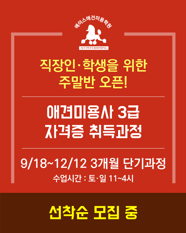 주말반 3개월 단기 취득과정