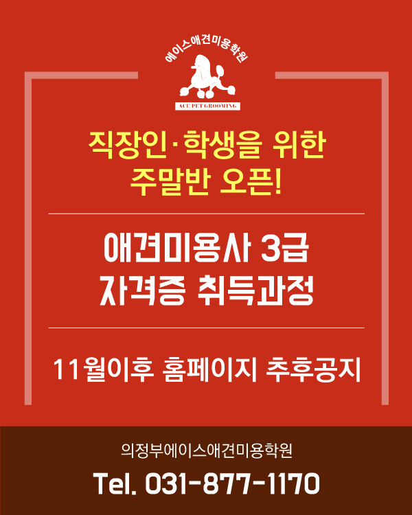 주말반 3개월 단기 취득과정