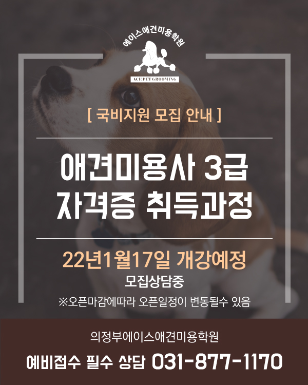 국비지원 모집 안내