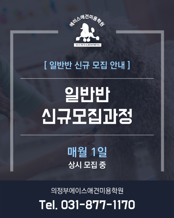 일반반 신규모집과정