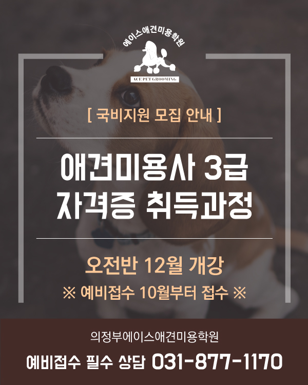 국비지원 오전반 12월 개강