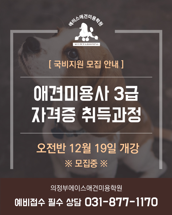 국비지원 오전반 모집 안내