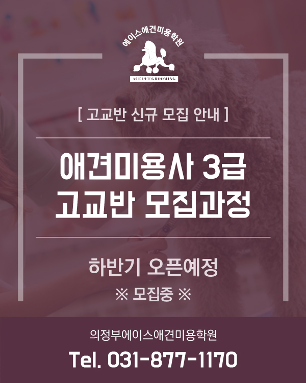 고교반 모집 안내