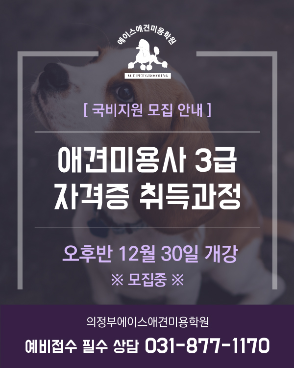 국비지원 오후반 모집 안내