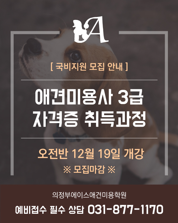 국비지원 오전반 모집 안내