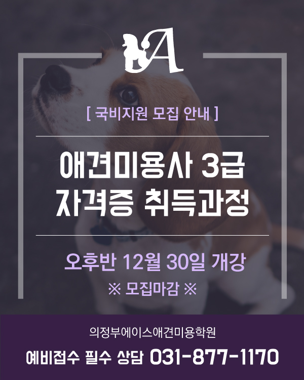 국비지원 오후반 모집 안내