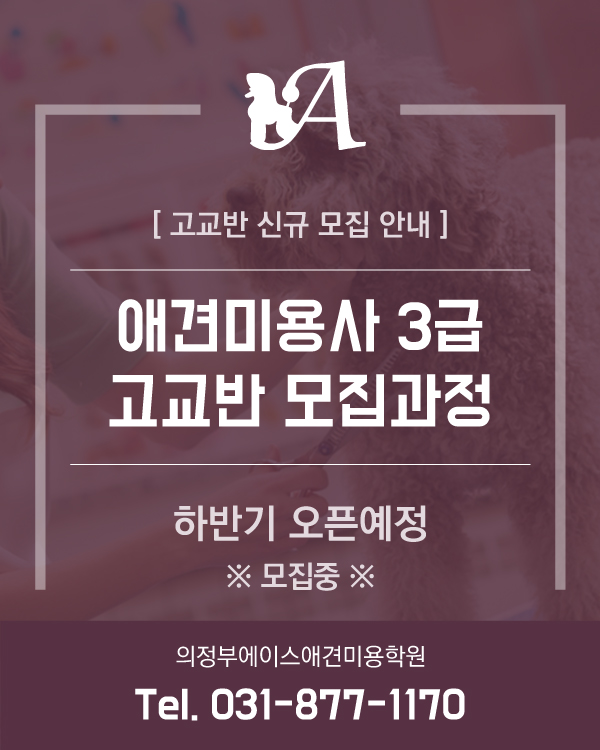 고교반 모집 안내