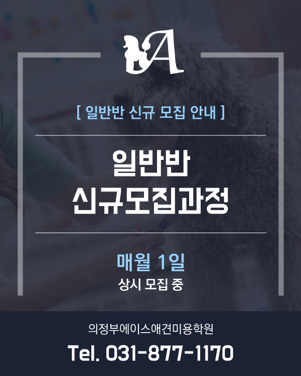 일반반 신규모집과정