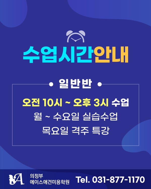 수업 시간 안내