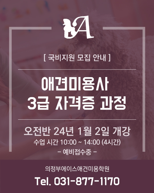 24년도 국비지원 오전반 모집 안내