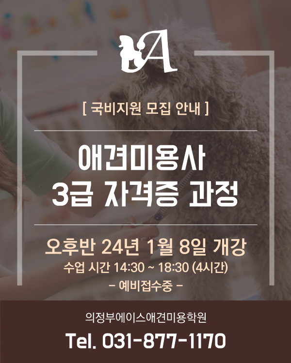 24년도 국비지원 오후반 모집 안내