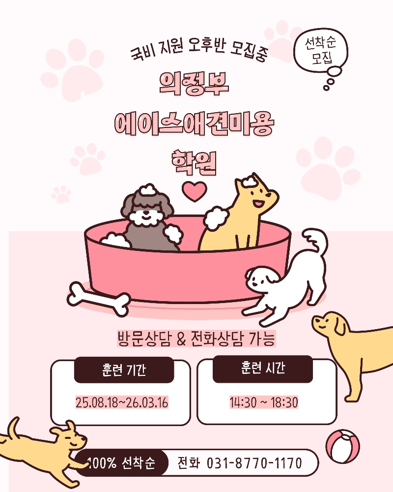 25년도 국비지원 오후반 모집