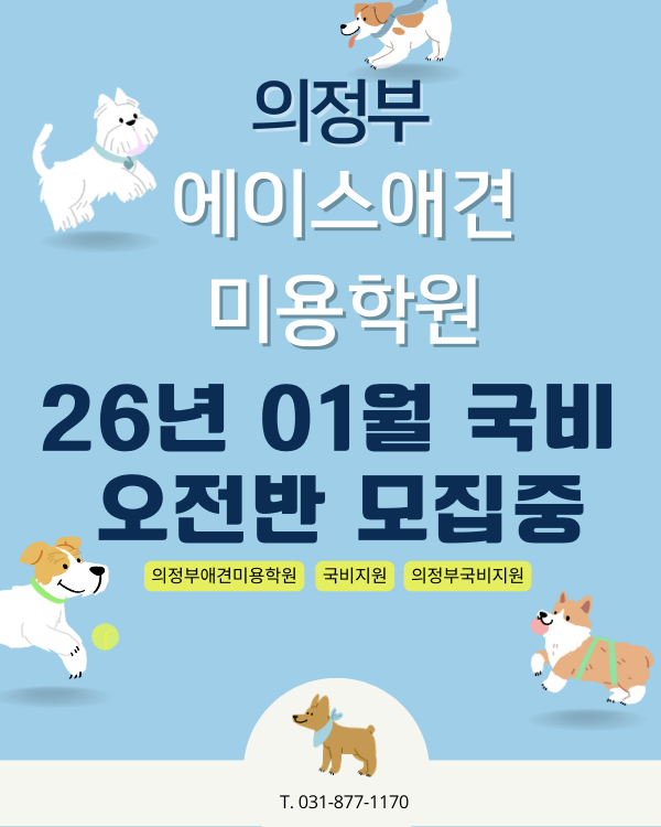 26년 01월 국비 오전반 모집중