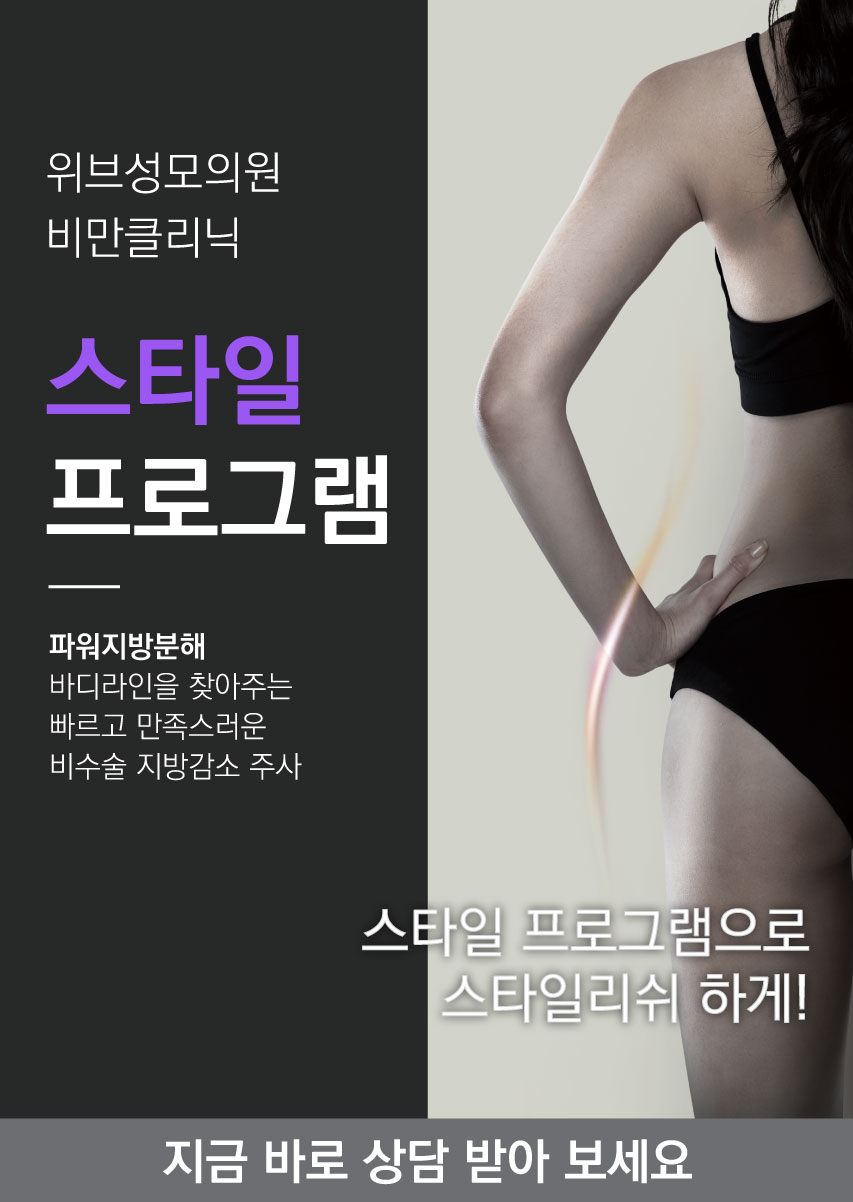 스타일프로그램