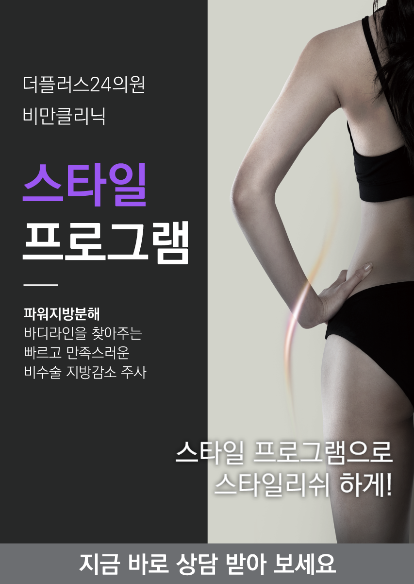 스타일프로그램