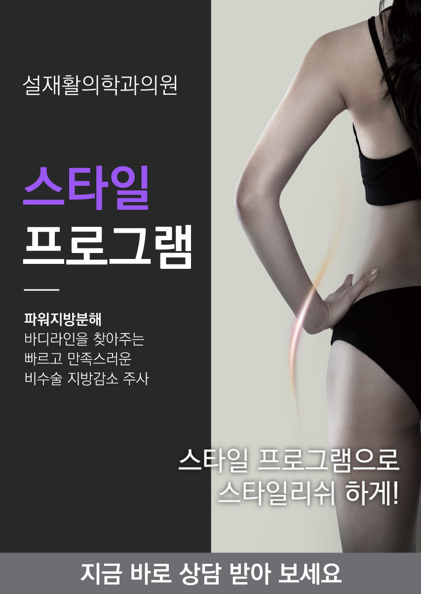 스타일프로그램