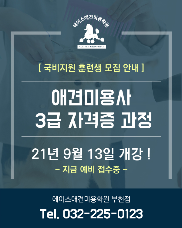 부천점 국비지원 안내