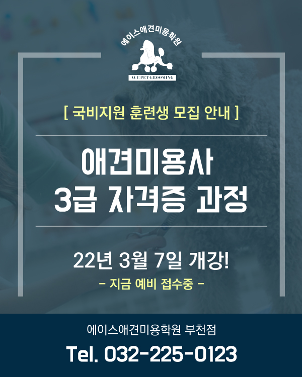 부천점 국비지원 안내