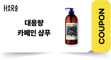 3등