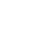 양은이네